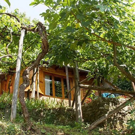 Pensjonat Chalet With Pool And View On The Olive Groove Coreglia Antelminelli