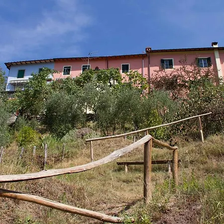 Chalet With Pool And View On The Olive Groove