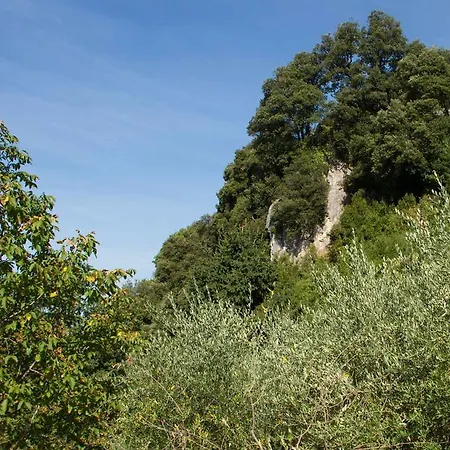 Pensjonat Chalet With Pool And View On The Olive Groove *